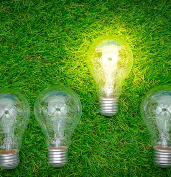 Eco concept - light bulb grow in the grass